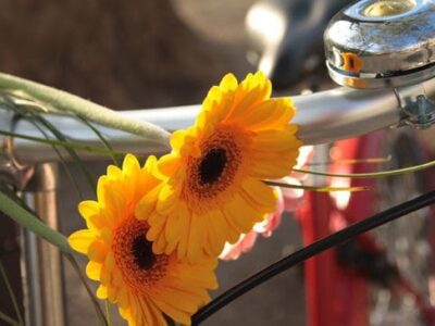 Bicykl: místo vzkazů a schůzek