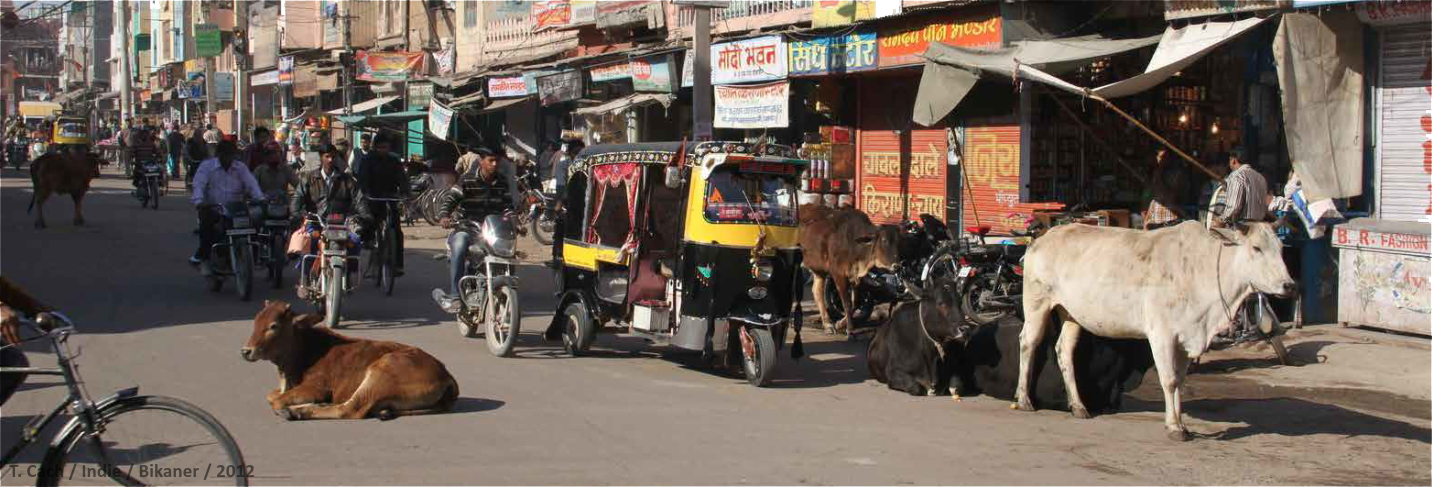 In India, the majority of public spaces function as shared spaces without the establishment of any specific traffic regulations. Due to different customs and practices, most public areas operate as shared zones where various modes of transport coexist without a designated traffic regime. Zdroj: Tomáš Cach