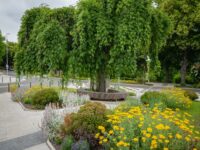 Zdroj: Adapterra Awards