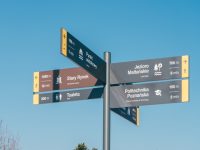 Zdroj: Jacek Jaśkowiak