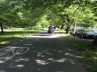 Cyklostezka v aleji Zdroj: Petr Štádler