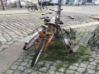 Stojanů je tu spousta, ale kol prostě ještě víc Zdroj: Petr Štádler