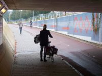 Dole se jde před deštěm i schovat. Zdroj: Václav Kříž