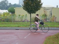 Trojúhelníky na vozovce vyznačují kdo dává přednost. Zdroj: Václav Kříž